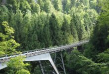 data bridge phone discovery unlocks