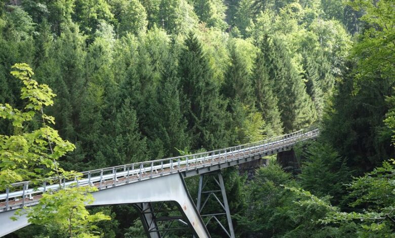 data bridge phone discovery unlocks