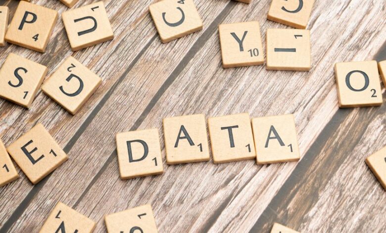 data trace reveals caller lookup intelligence