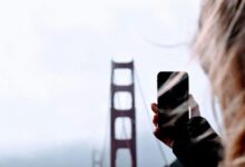 signal bridge start unlocking research