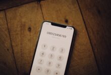 list of phone numbers for verification