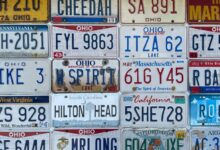list of phone numbers supplied