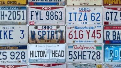 list of phone numbers supplied