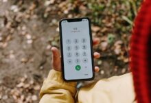 phone numbers for verification provided