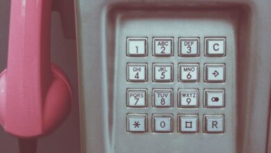 phone numbers identify owners