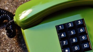 phone numbers list provided