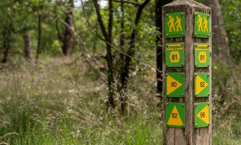 phone numbers listed for navigation data