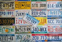 trace numbers registration details summarized