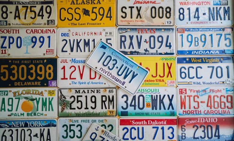 trace numbers registration details summarized