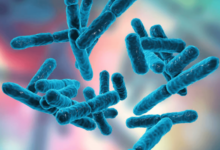 What Are Biotics?