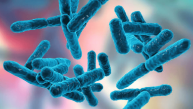What Are Biotics?