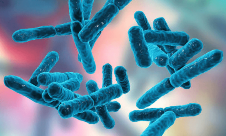 What Are Biotics?